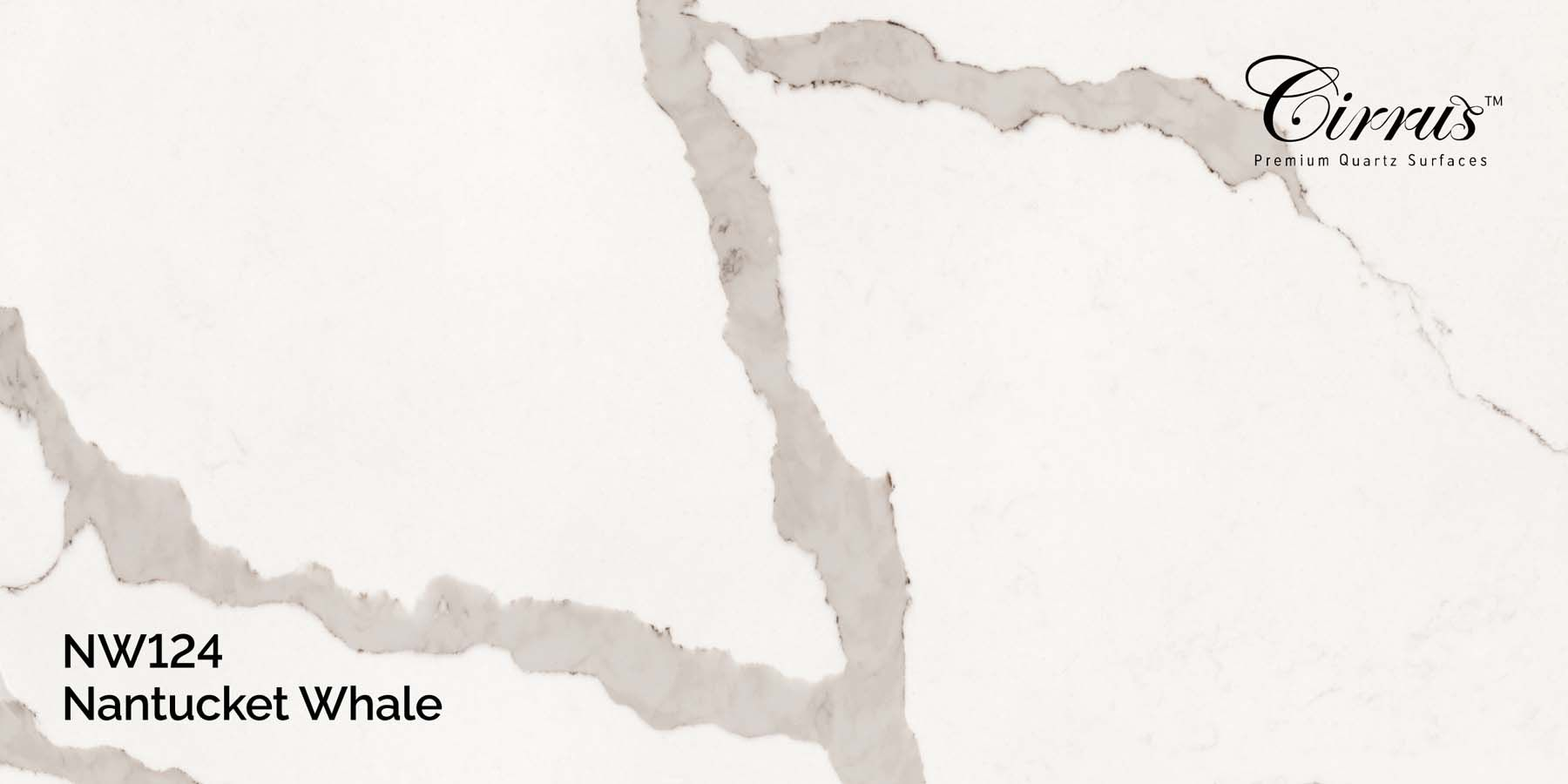 NW124 Nantucket Whale